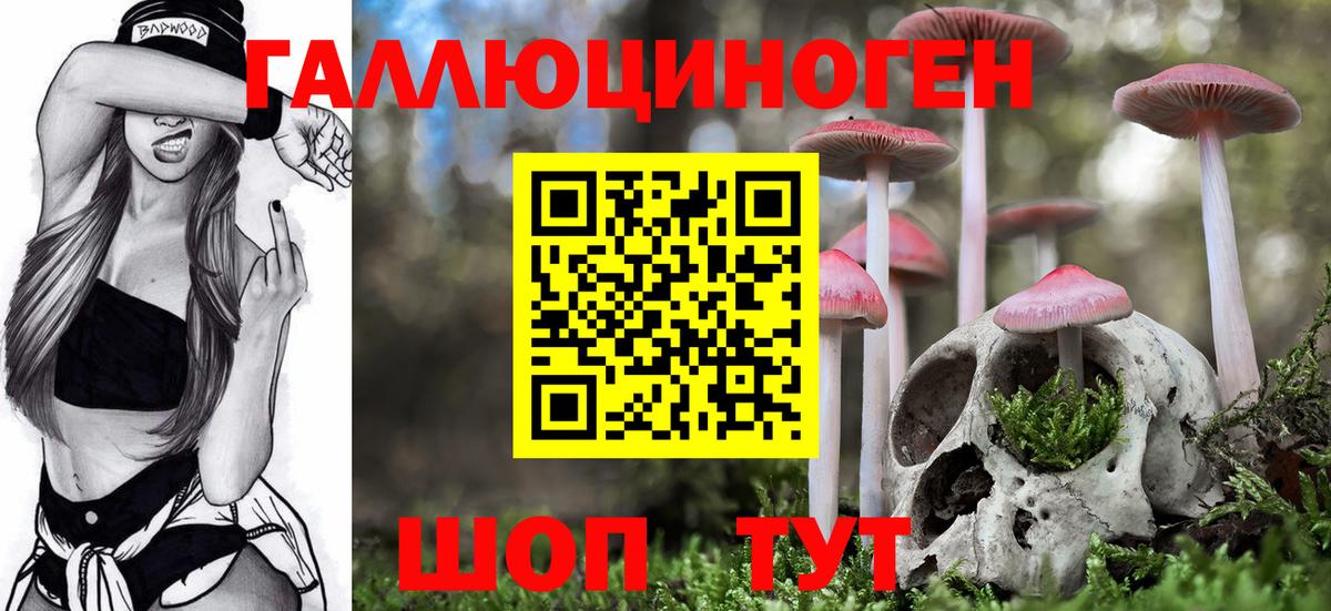 Псилоцибиновые грибы мухоморы Майкоп