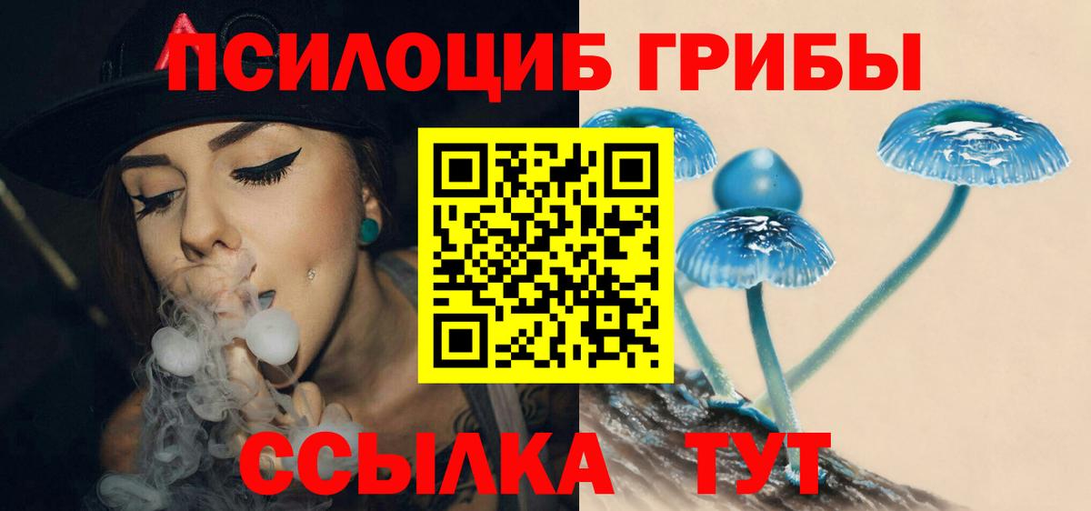Майкоп  Псилоцибиновые грибы Magic Shrooms  Галлюциногенные грибы Cubensis  Вход с VPN 