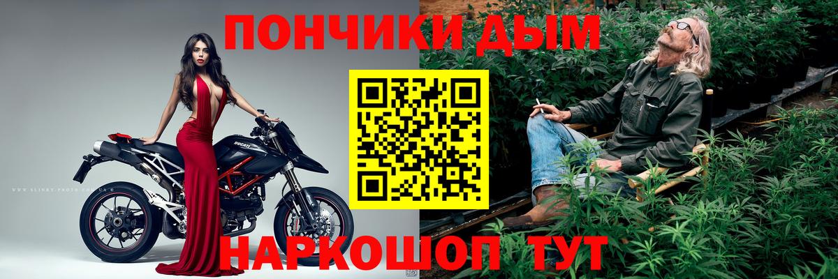 МЕФ Майкоп