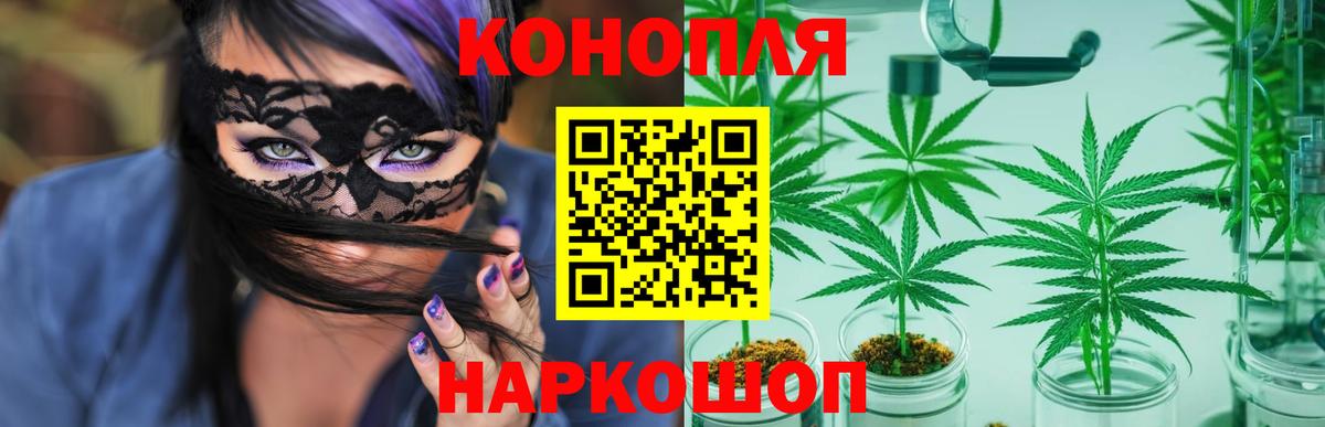 Бошки марихуана сатива Майкоп